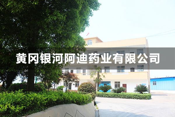 黄冈银河阿迪药业有限公司
