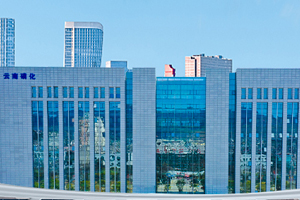 云南磷化集团有限公司