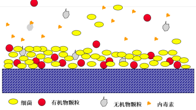 假期归来,实验室纯水系统这样维护,避免实验